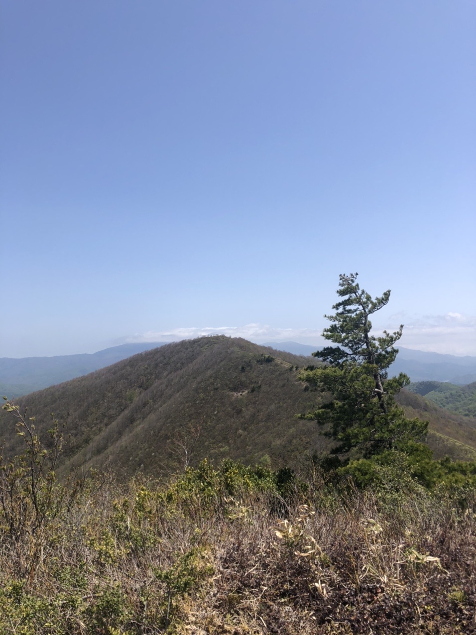 雄国山 牛殺し山 雄国沼 ふじこsさんの磐梯山 雄国山 赤埴山の活動データ Yamap ヤマップ