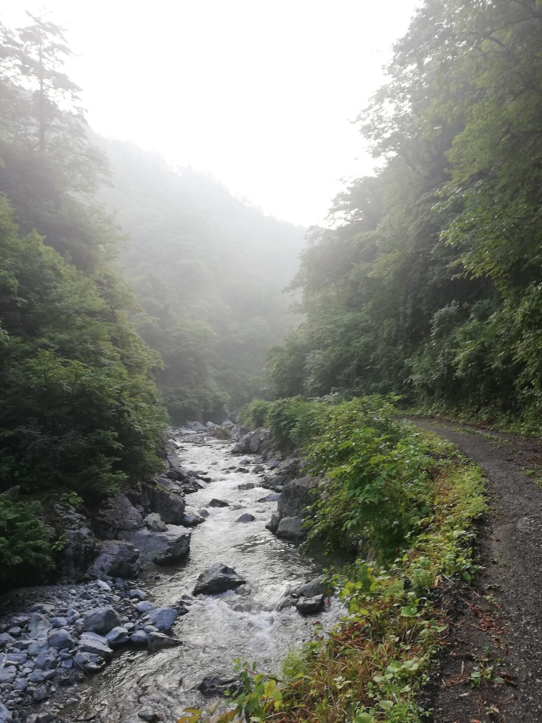 丹後山・中ノ岳 / 越後駒ヶ岳・八海山・荒沢岳の写真7枚目 YAMAP / ヤマップ