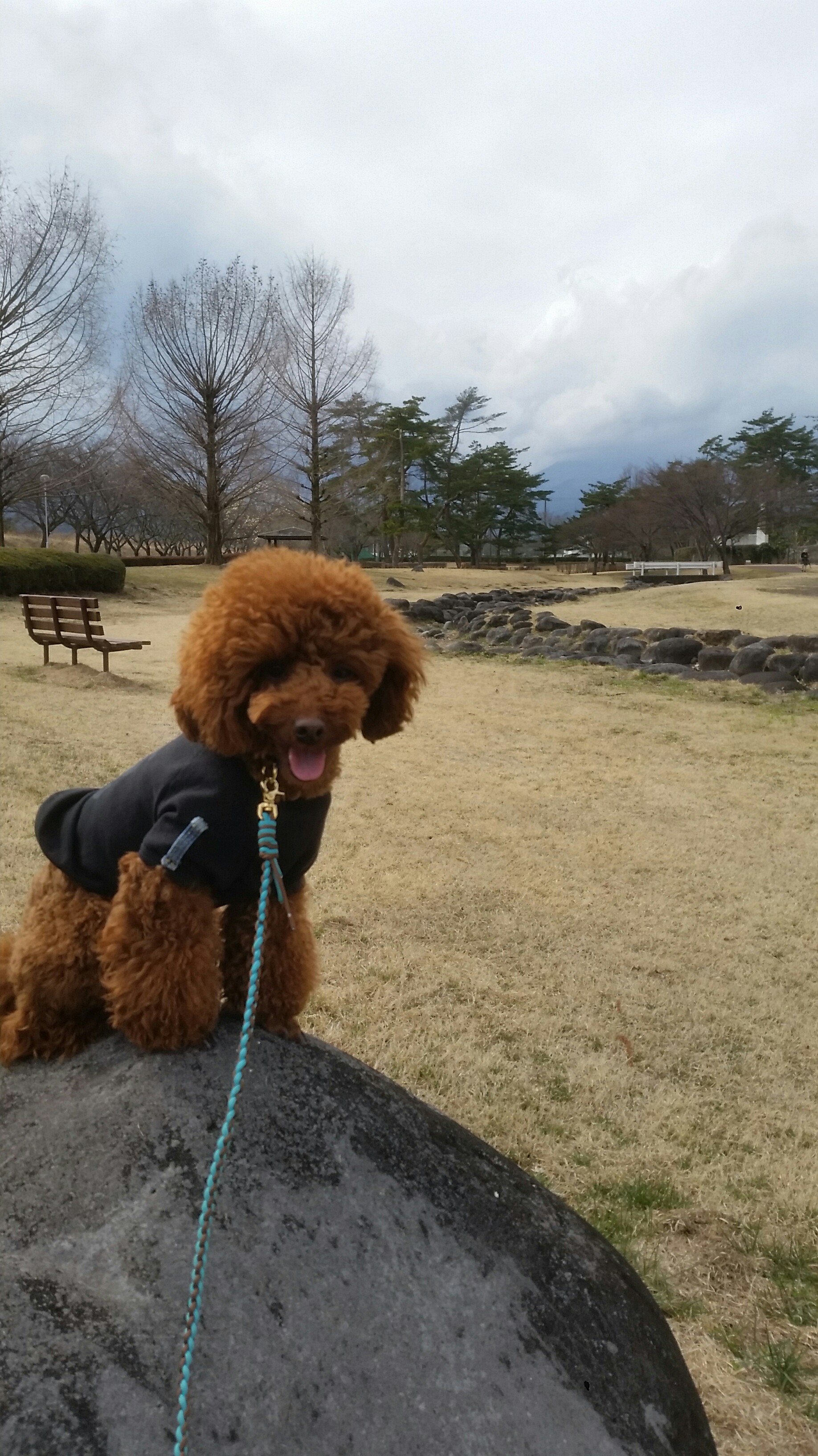 日光市 丸山公園 たけさんの日光市の活動データ Yamap ヤマップ