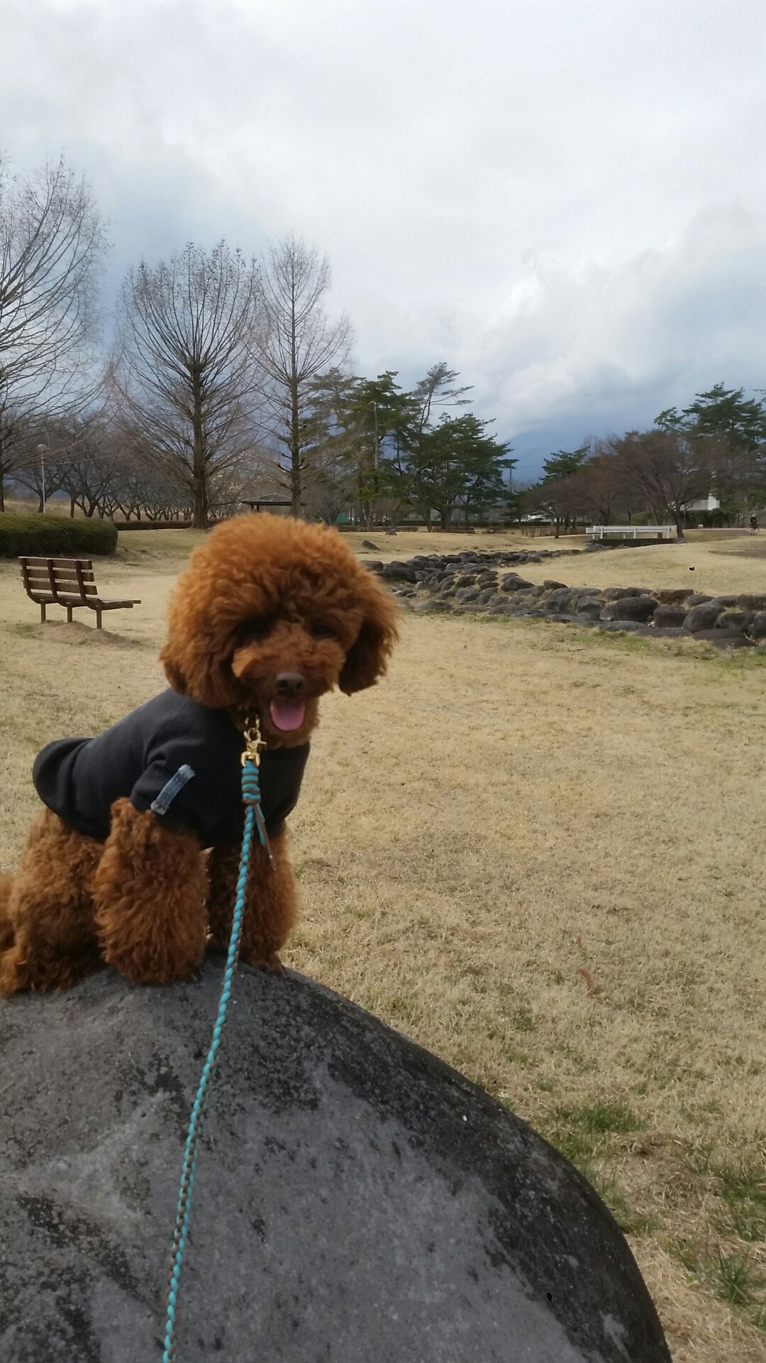 日光市 丸山公園 たけさんの日光市の活動データ Yamap ヤマップ