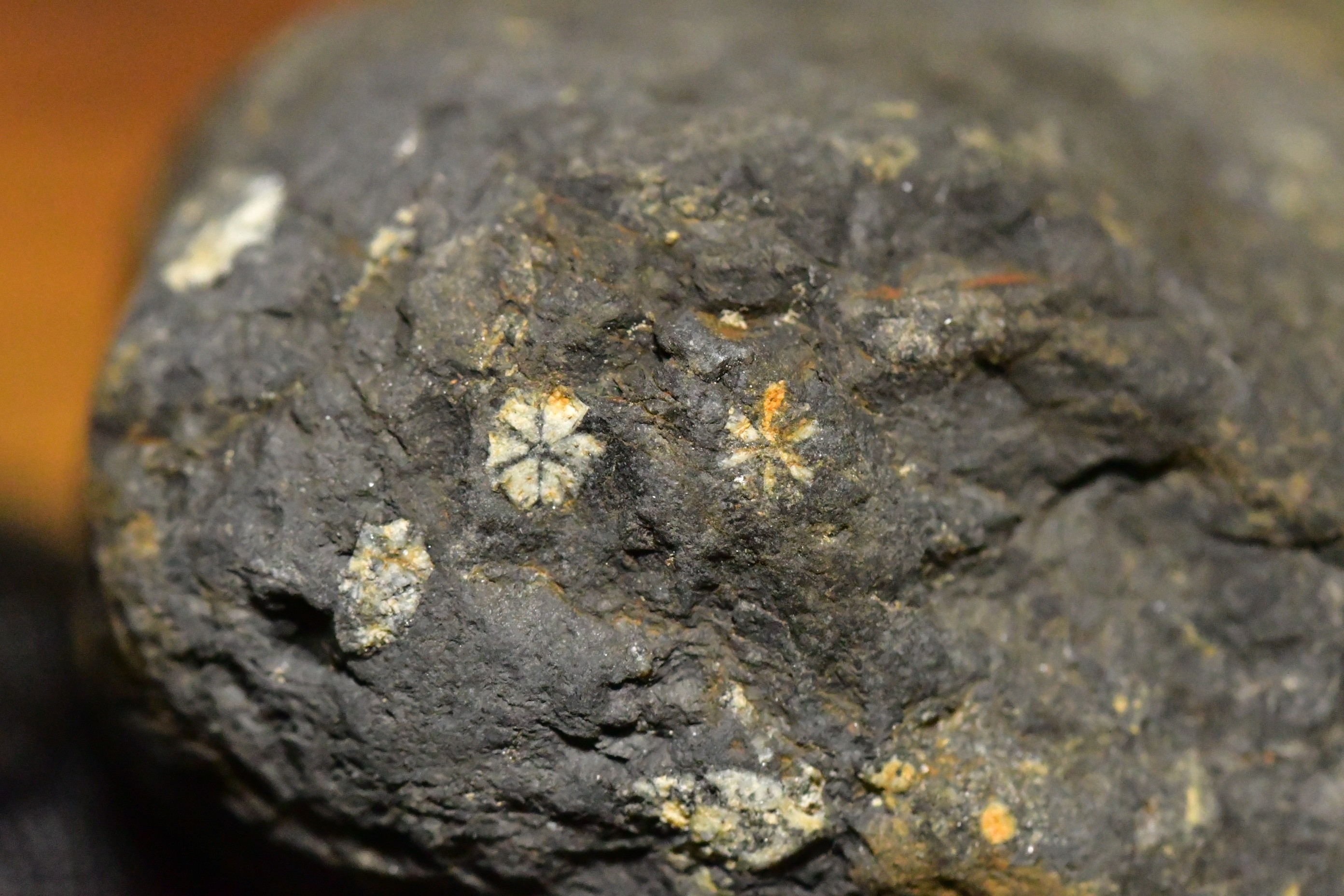 渡良瀬川の桜石を採取してきました。 渡良 / usamiさんのモーメント