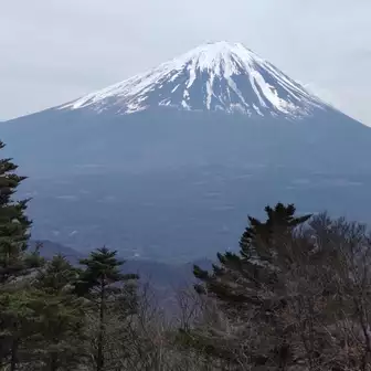 富士山方面は開けてある