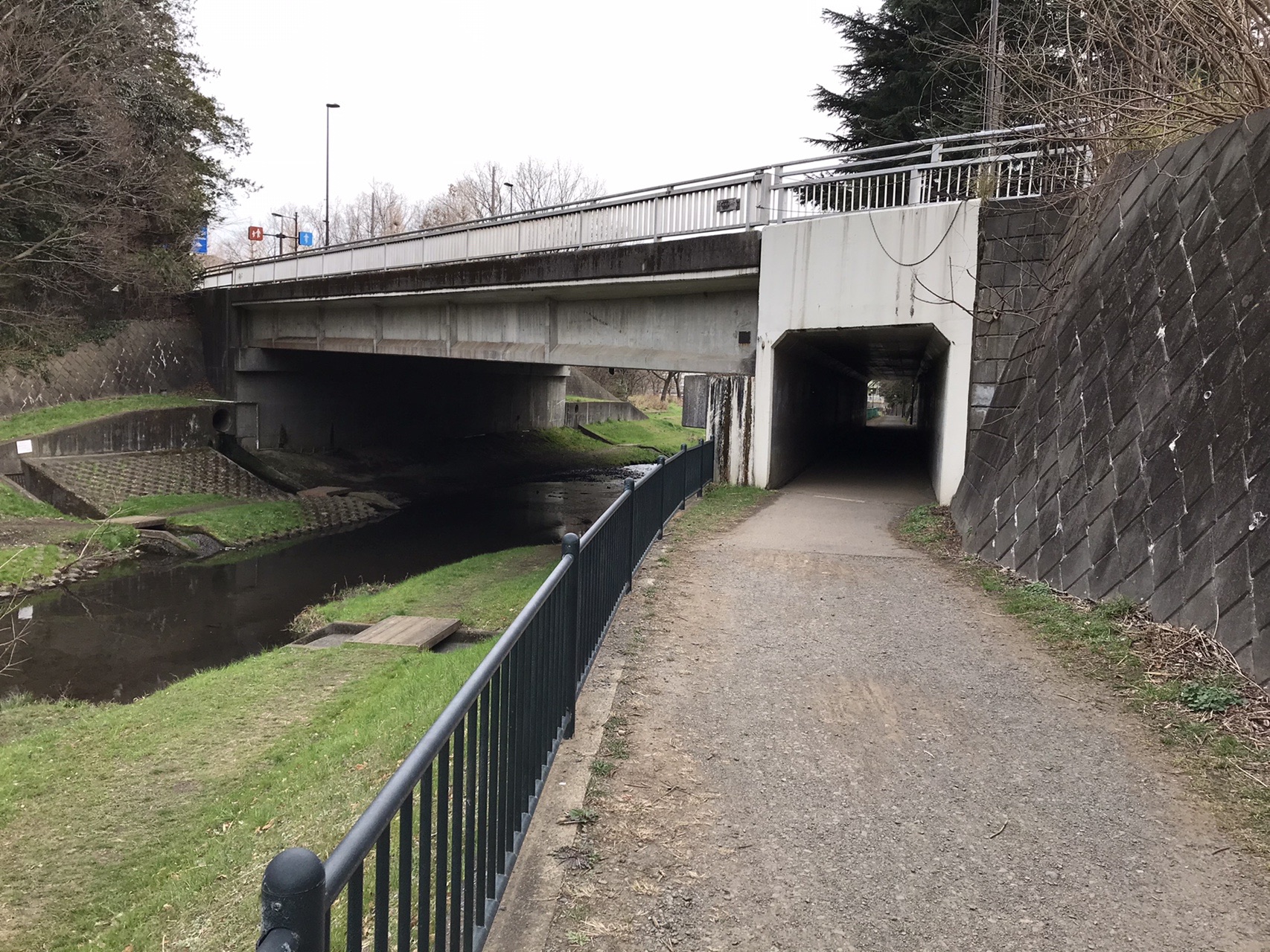 野川の橋めぐりその4 Tadamacさんの国分寺市の活動日記 Yamap ヤマップ