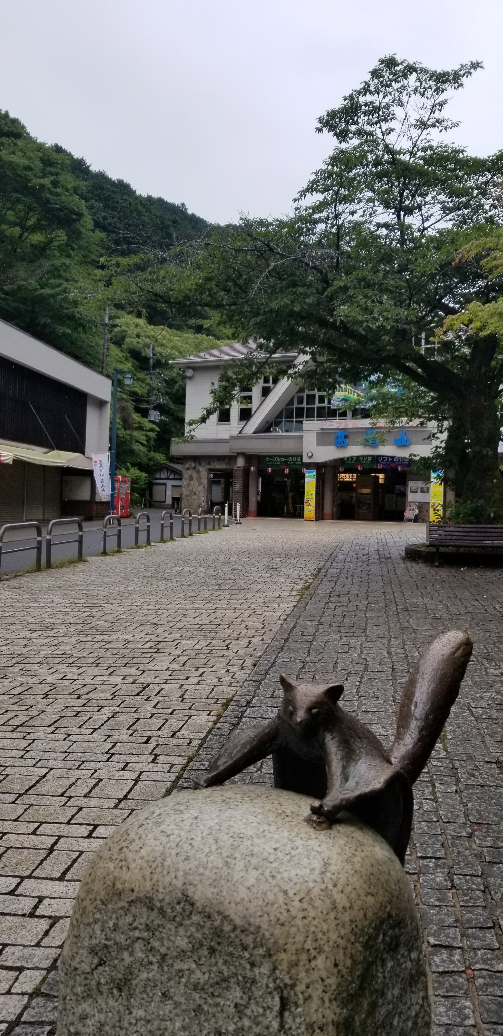 高尾山 やっと行けた まぁさんの高尾山 陣馬山 景信山の活動データ Yamap ヤマップ