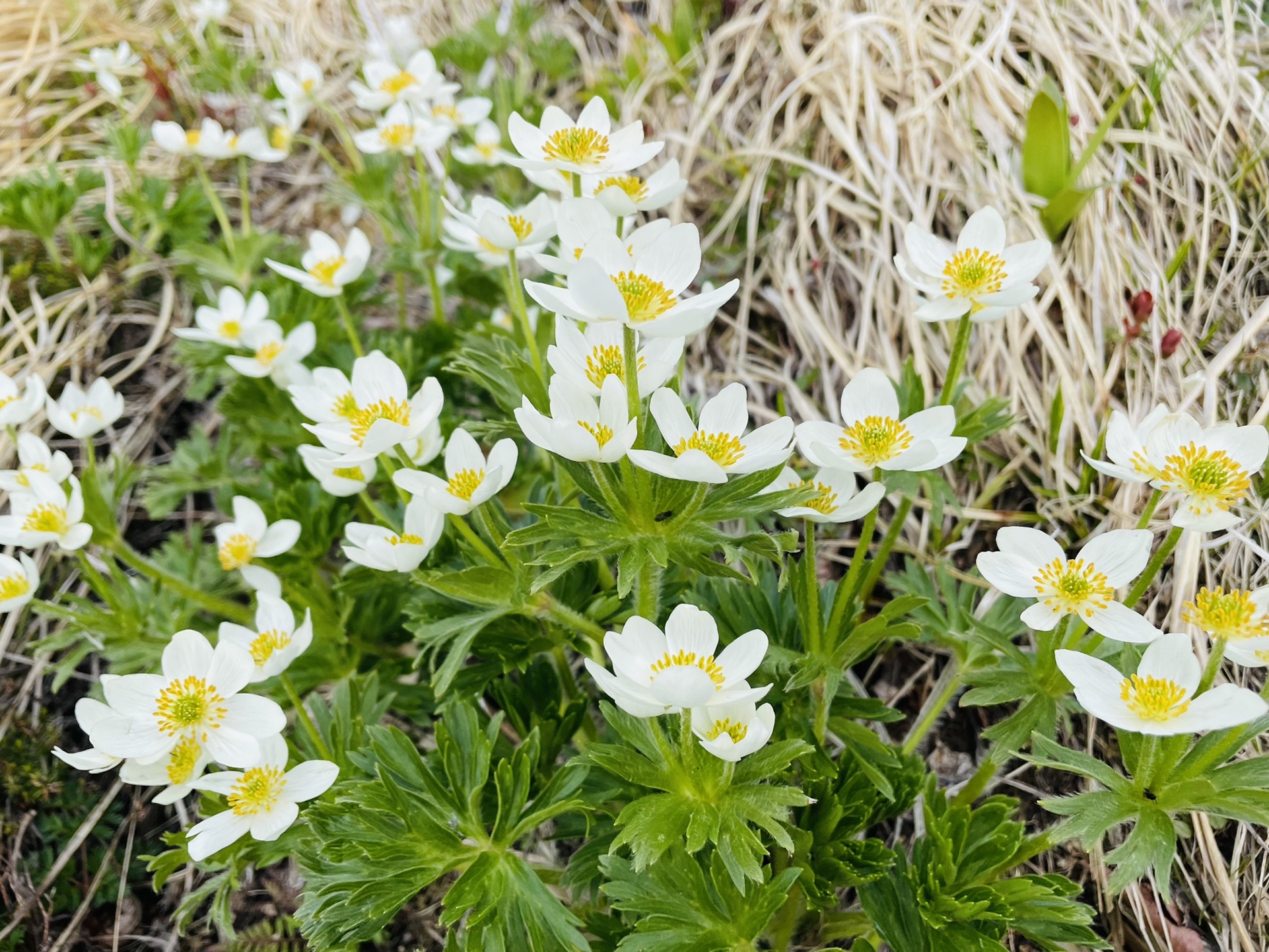 今年初✨
撮ってる場合なのか！？
寒いからメンタルやられる…