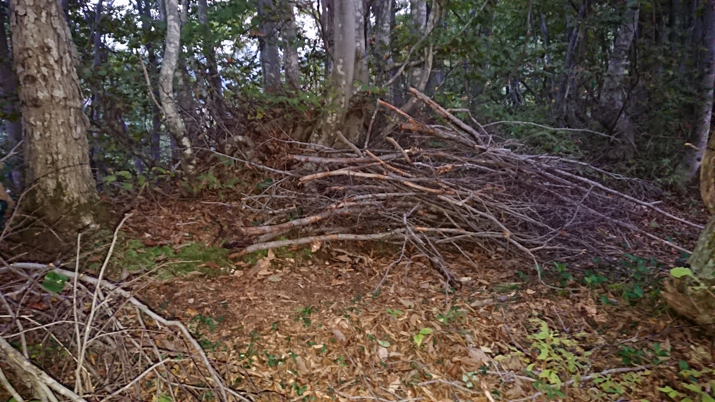 木六山・銀次郎山 集めた薪
と言うか太いの無くて柴ですね
30分くらい集めましたが3時間くらいしかもたない、対象物がないとどれくらいの量かわかんないですよね😅