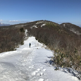 のほほん日和ユーザー
