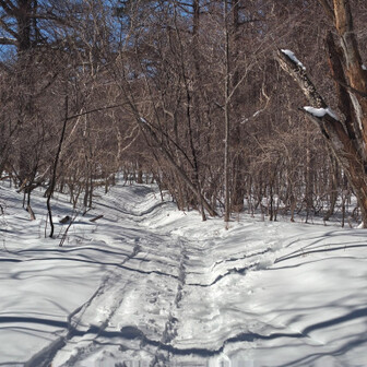 浅間山・黒斑山・篭ノ登山 よく踏まれ歩きやすい（右に入る近道は踏跡無いので止めました）