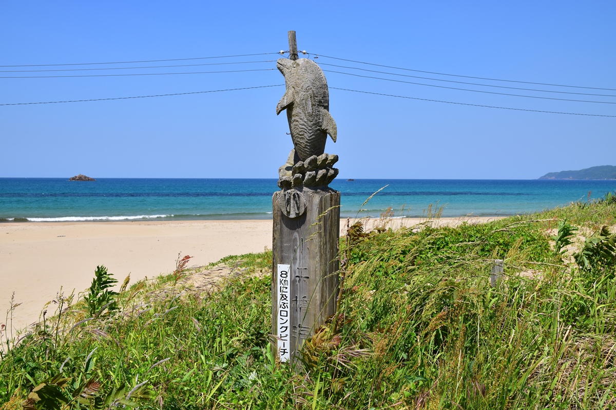 約８／ｋｍのロングビーチですが、今回は遊歩道の整備されている箱石浜で折り返します。