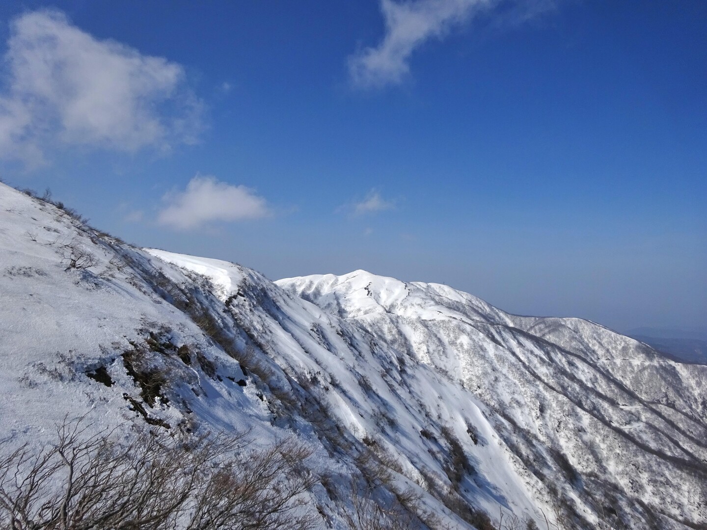 銀杏峯 / 乱丼さんの銀杏峰・部子山の活動データ YAMAP / ヤマップ