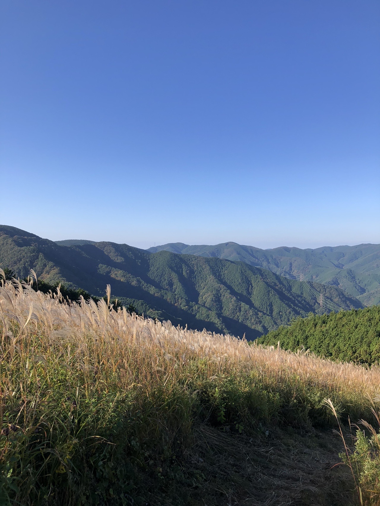岩湧山 茅 ススキ ええ山でした かずっちみさんの岩湧山 一徳防山 三石山の活動データ Yamap ヤマップ