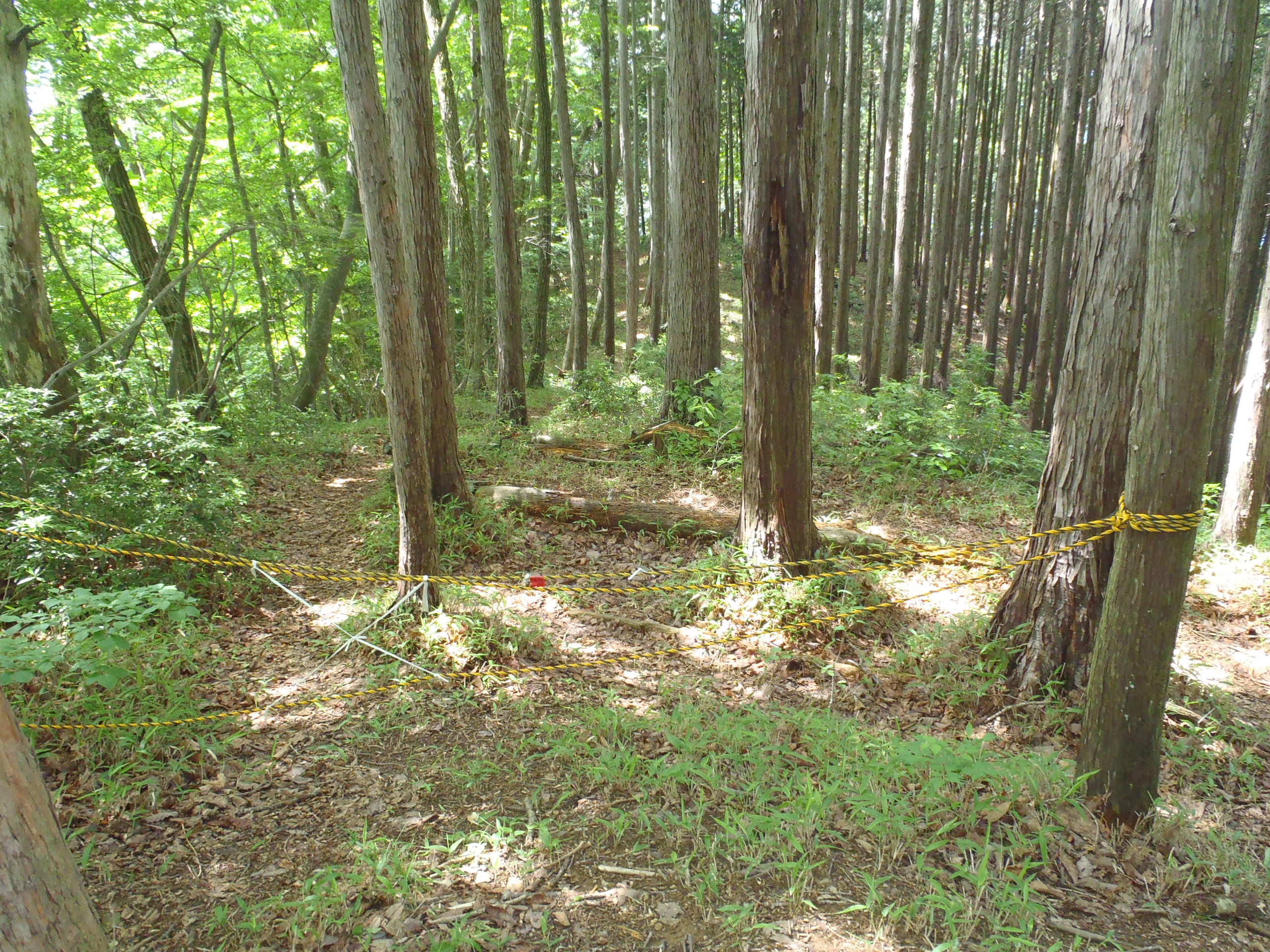 鍋割山付近の写真一覧 Yamap ヤマップ