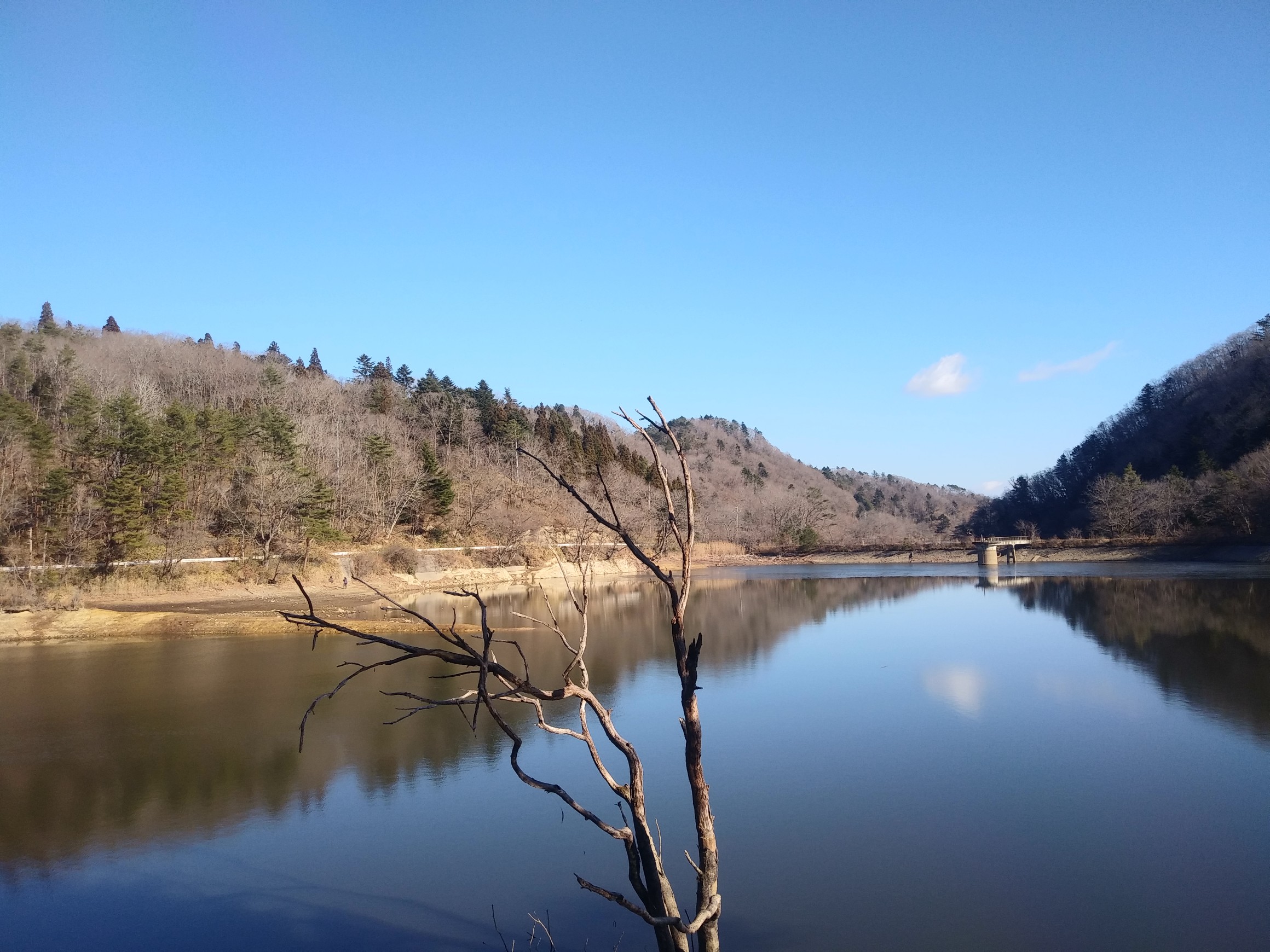サイカチ沼2019 12 29 ままっこさんの白沢五山 五ツ森 の活動データ Yamap ヤマップ