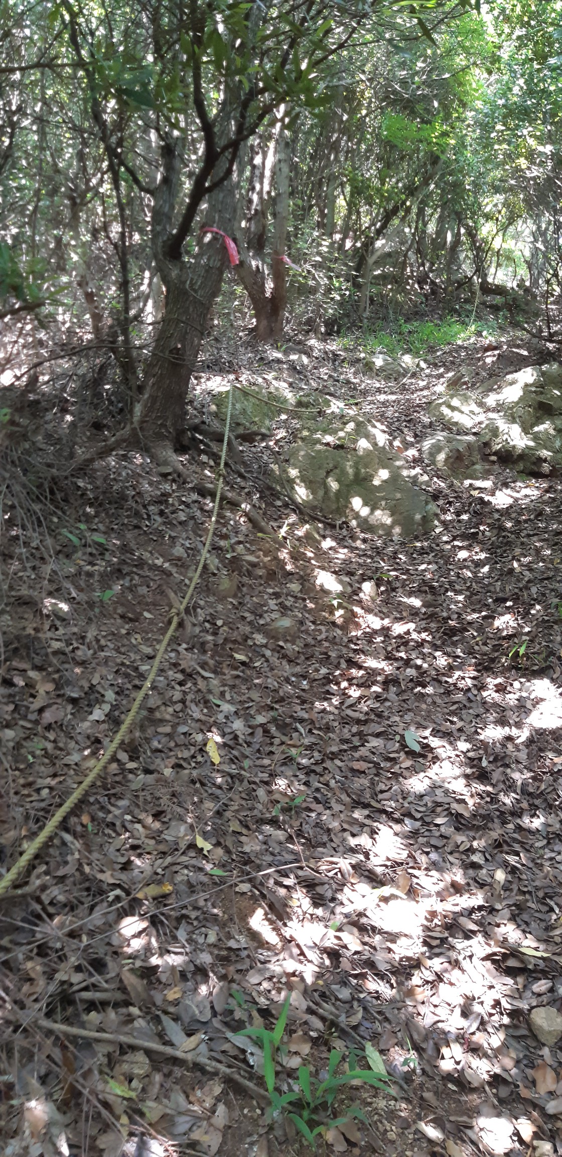 豊鉄バスで行く田原市低山５座 コトギス オオトギス すり鉢山 七つ山 七峰 尾村山 侮れない難易度と眺望 Yasu1210mさんの蔵王山 衣笠山 滝頭山の活動日記 Yamap ヤマップ