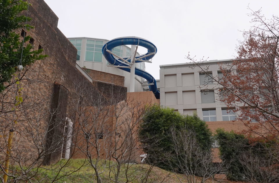 寒空 のもと多摩 よこやまの道で野鳥 アキチャン1491さんの多摩市の活動日記 Yamap ヤマップ