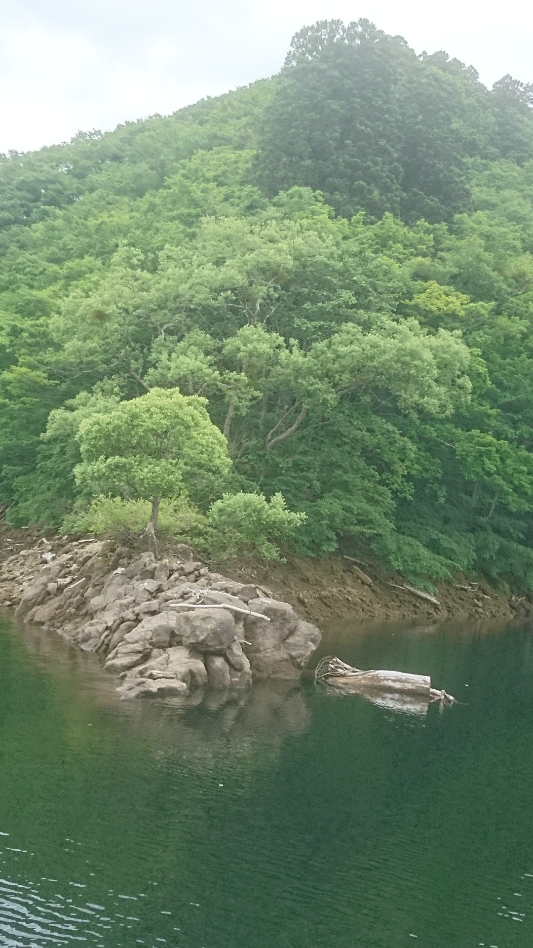 森吉 太平湖遊覧船 しんちゃんさんのウォーキングの活動データ Yamap ヤマップ