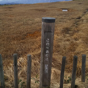 みりんちゃん。