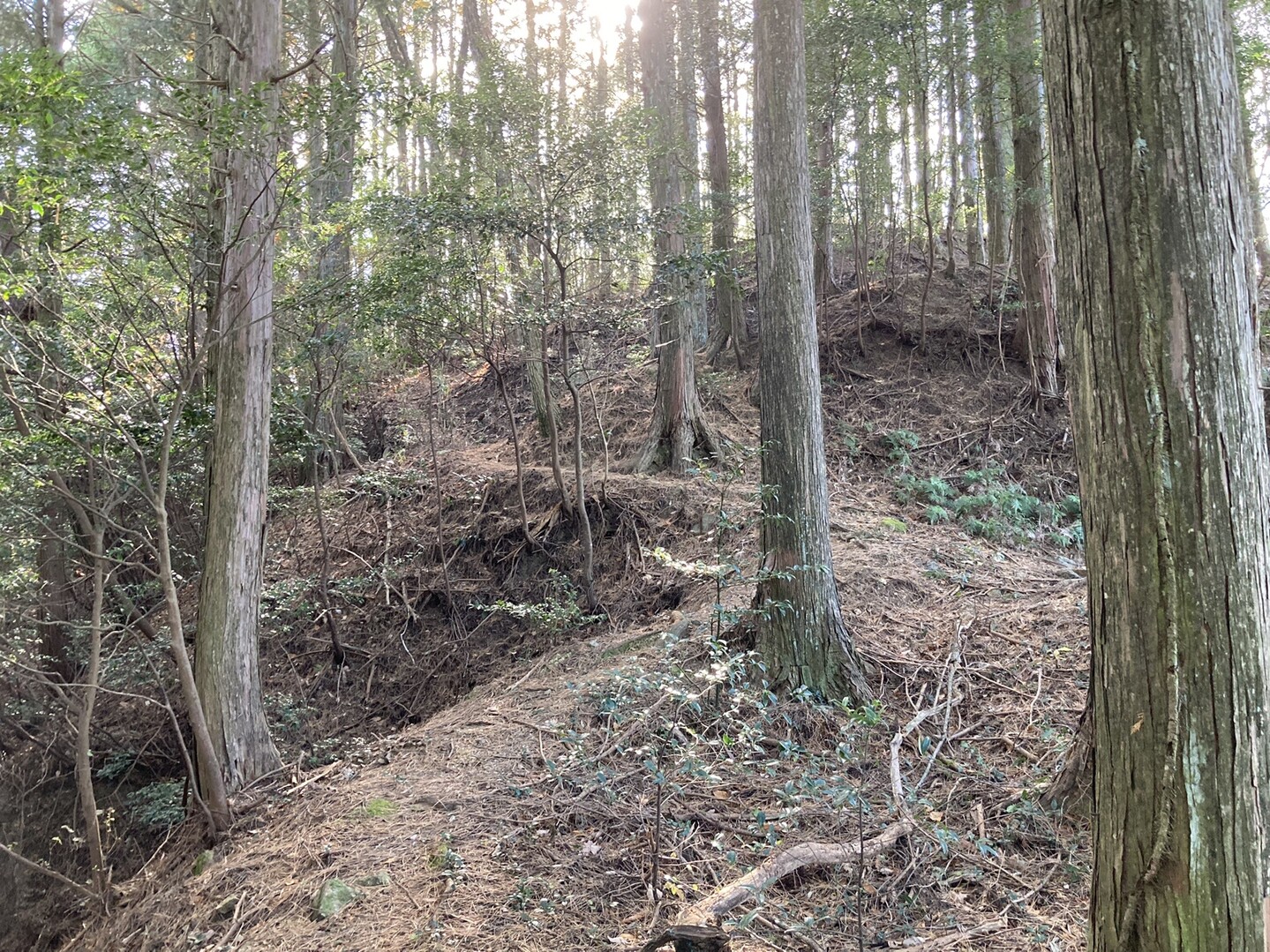 黒瀬山(黒瀬城址)・岡山(岡山城址)・鉢ヶ森(鉢ヶ森城址)・護摩ヶ森(護摩ヶ森城址)・我合山(...