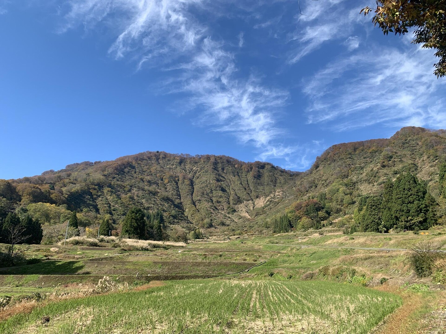 syuwa-yamap