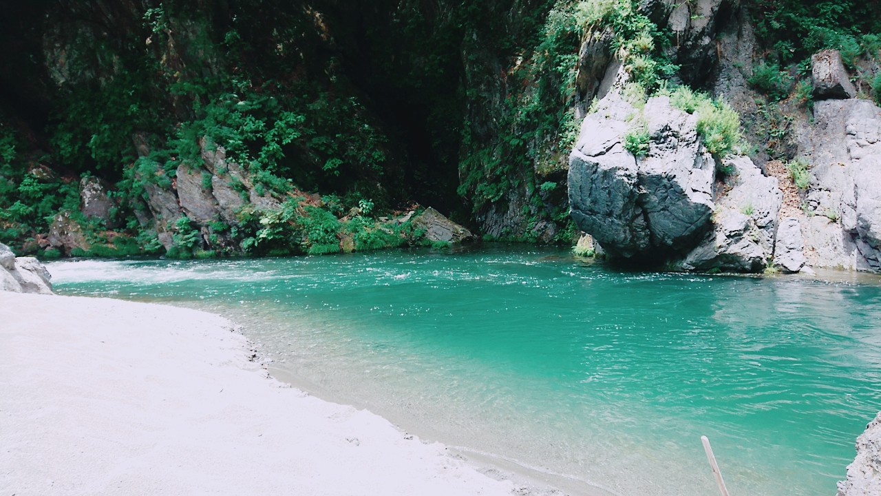 鳩ノ巣渓谷お散歩 グランブルーさんの川苔山 川乗山 の活動データ Yamap ヤマップ