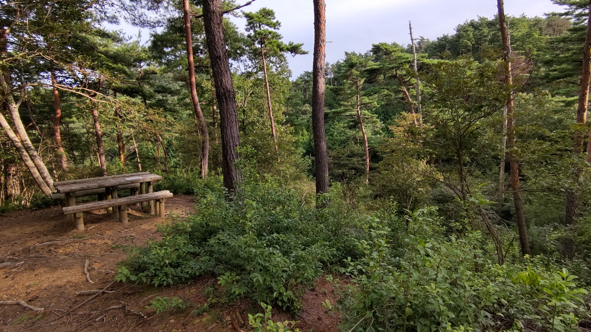 ポンポン山 大原野森林公園 タツジーさんのポンポン山 釈迦岳 小塩山 若山の活動データ Yamap ヤマップ