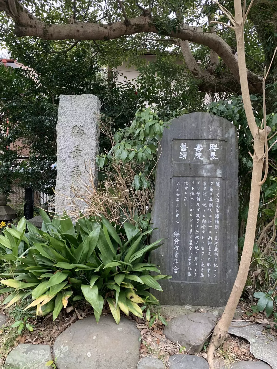 源頼朝の墓はどこに 22 03 08 まえちゅうさんの鎌倉市の活動日記 Yamap ヤマップ