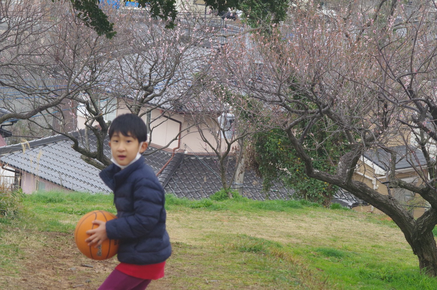 北九州の農場センターにて バスケットボ なかやんさんのモーメント Yamap ヤマップ