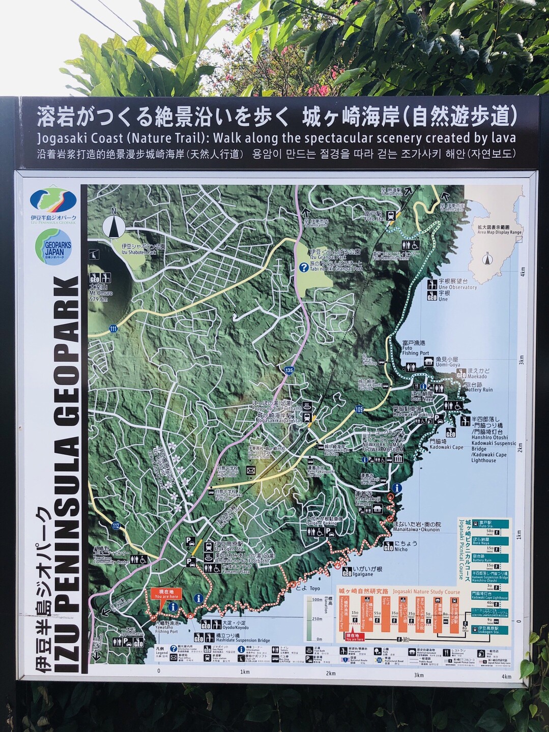 城ヶ崎海岸ピクニカルコース 19 08 25 ぱきらさんの城ヶ崎海岸ピクニカルコースの活動日記 Yamap ヤマップ