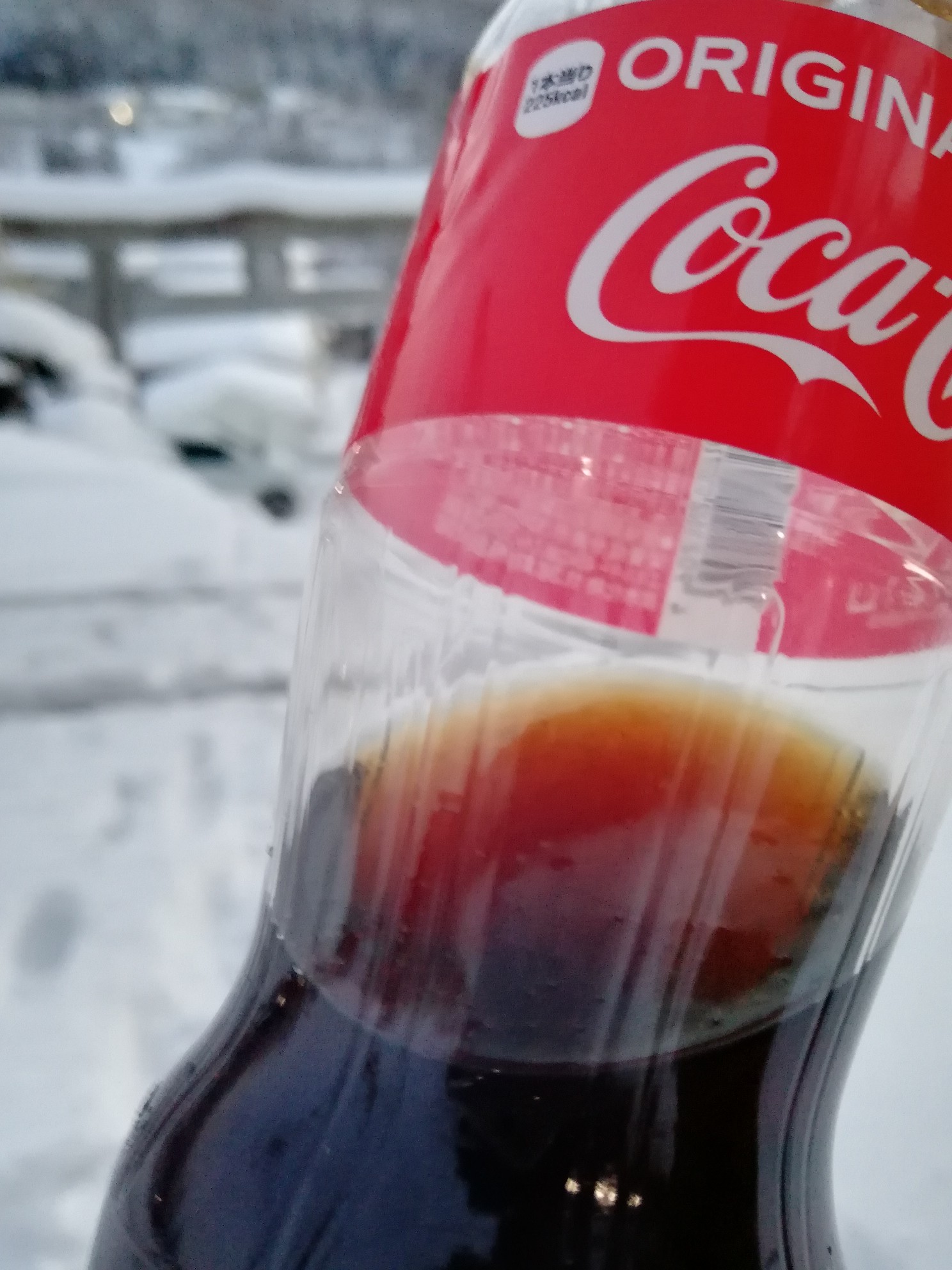 キンキンに冷えてやがるっ でかたるさんの山形市の活動データ Yamap ヤマップ