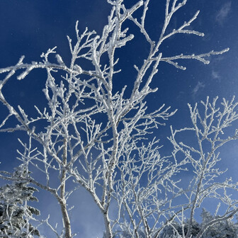 四阿山・根子岳 美味しそう