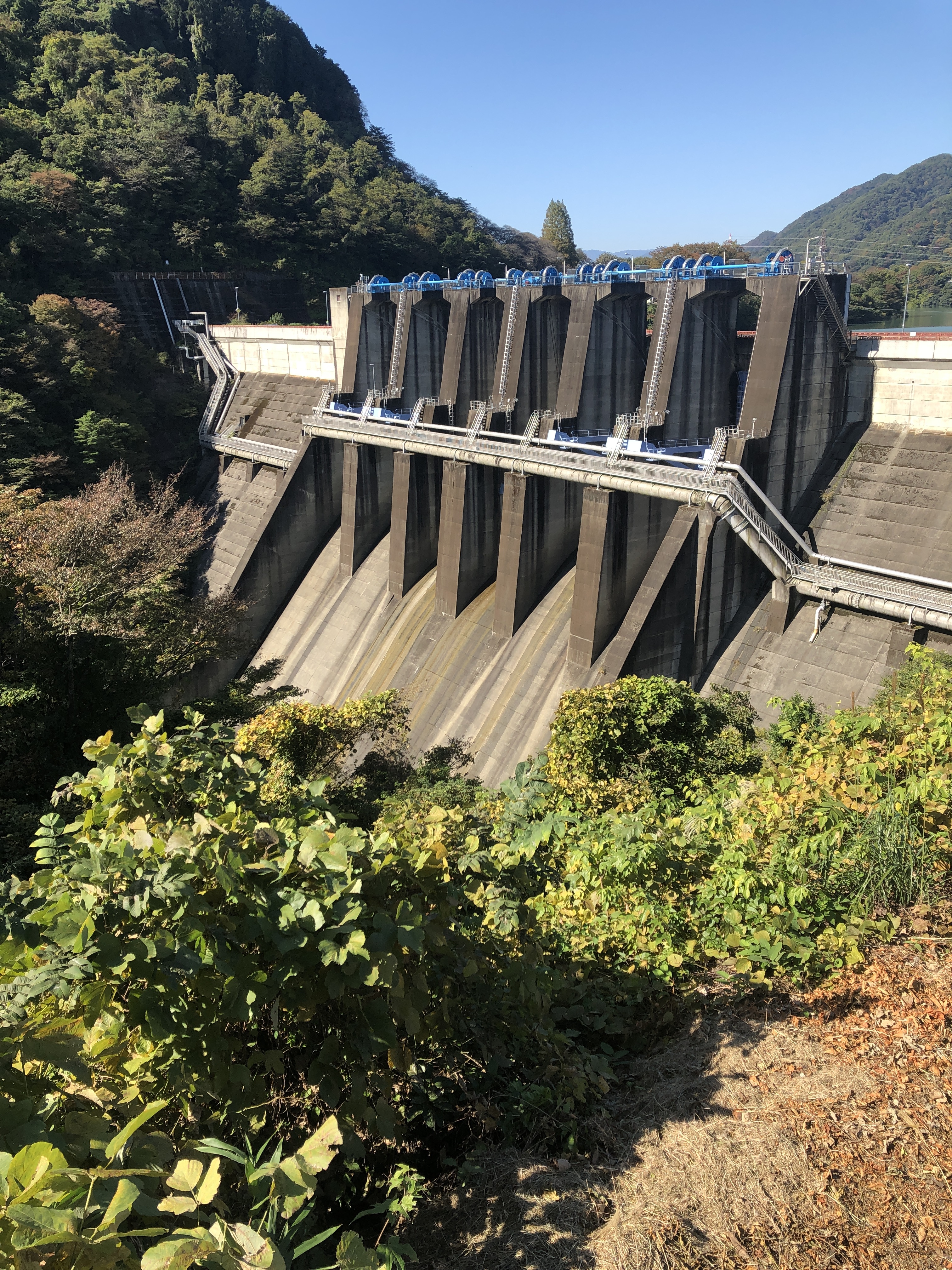 津久井湖と城山ダム 三井大橋 11 05 カズさんのウォーキングの活動データ Yamap ヤマップ