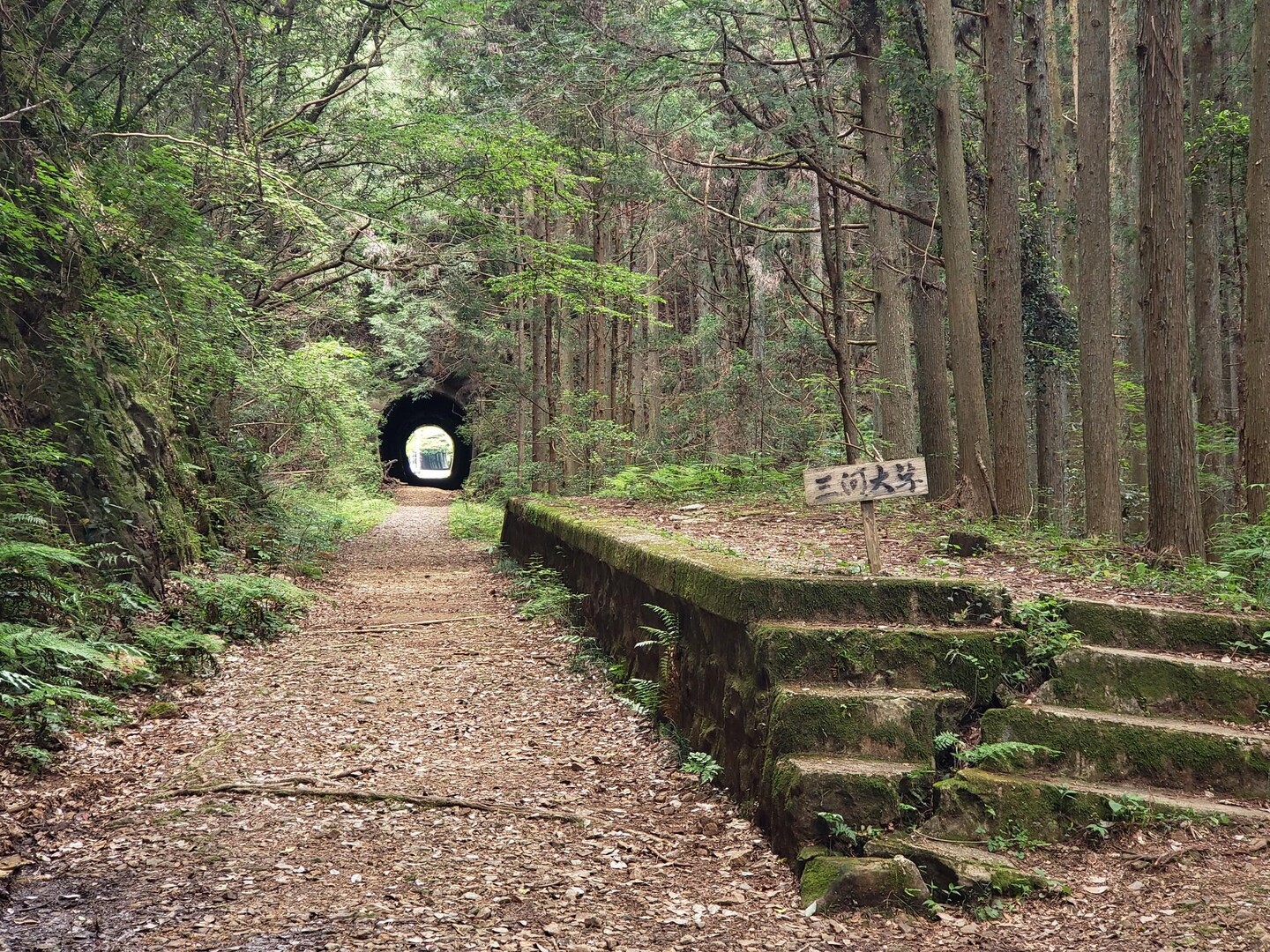 今日は設楽郡にある豊橋鉄道田口線廃線を散... / なおさんのモーメント YAMAP / ヤマップ