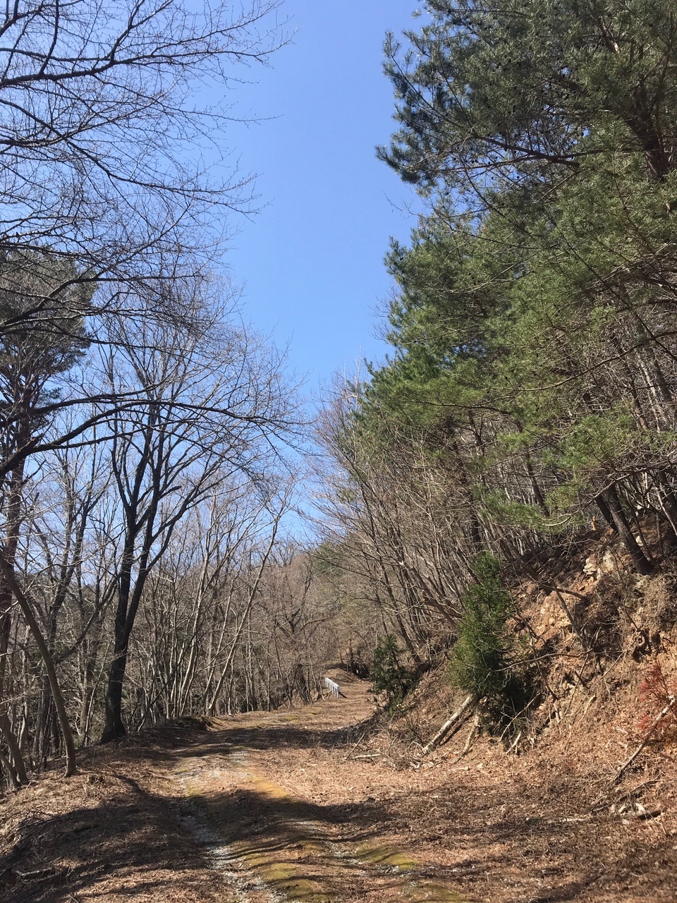 Mct大船渡市中南部ルート 21 04 01 Tetsuさんのみちのく潮風トレイル 大船渡市中南部ルートの活動データ Yamap ヤマップ