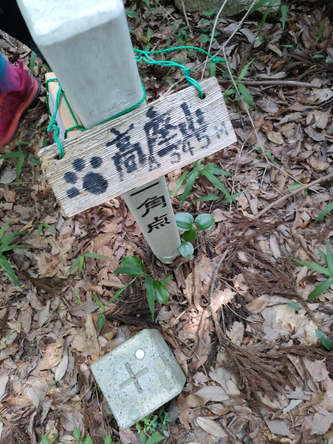 高座山(西宮セコップ1座目) / りんあすかさんの百丈岩・鎌倉峡の活動データ YAMAP / ヤマップ