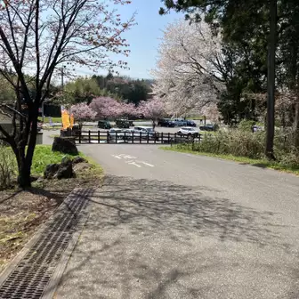 駐車場こんな感じで空いてました🅿️
所々桜も綺麗🌸😍
お疲れ様でした✨
次回も又ね(´▽`)ﾉ
なんか大人の遠足だなぁ〜🚌☀️