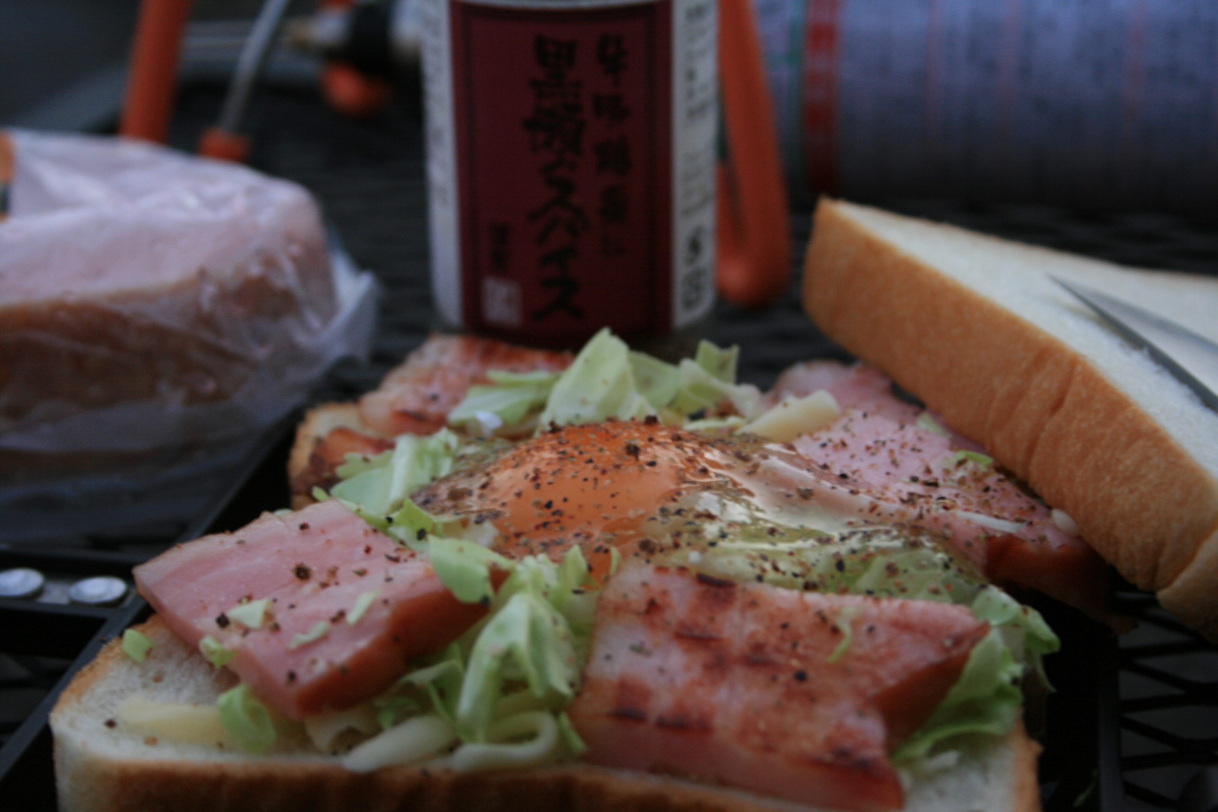 福岡県最高峰に登ってもいいかな チキン さんの釈迦岳 御前岳の活動日記 Yamap ヤマップ