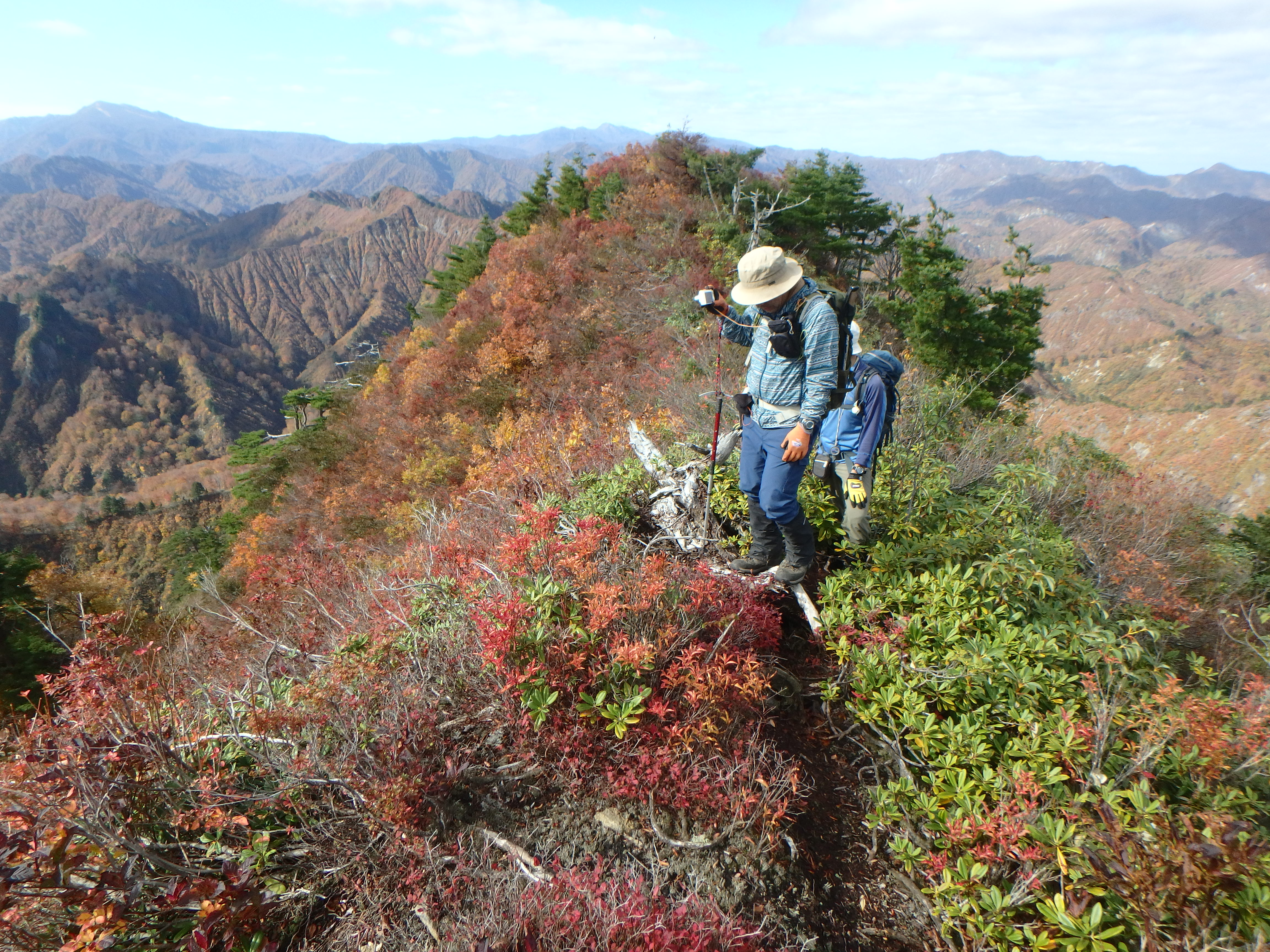 南会津寂峰探訪 逆茂木 急登の笠倉山 993 7m ふみぃさんの蒲生岳の活動データ Yamap ヤマップ