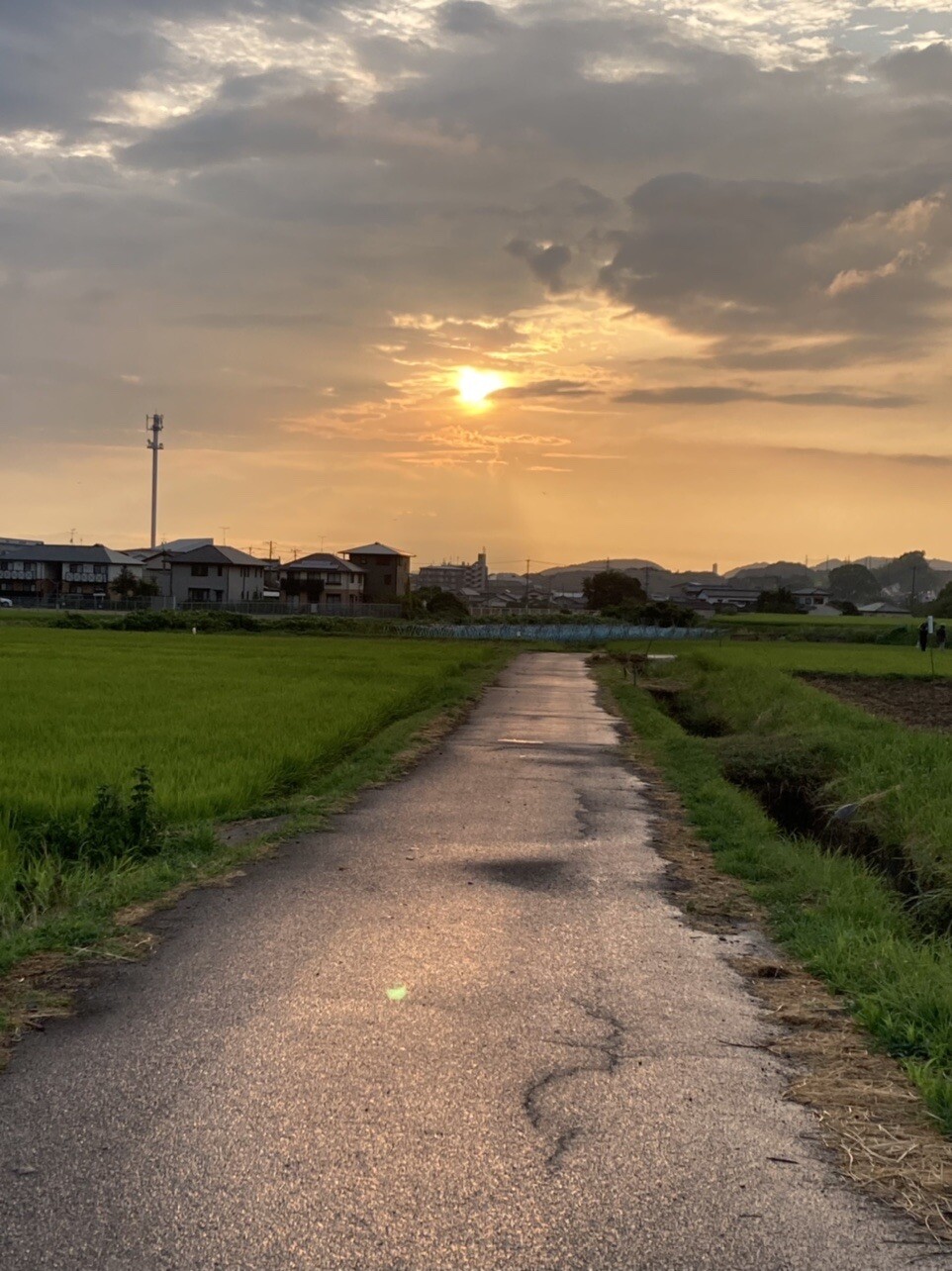 雨上がりの夕方散歩 夕日で雨上がりの道が Arisaさんのモーメント Yamap ヤマップ