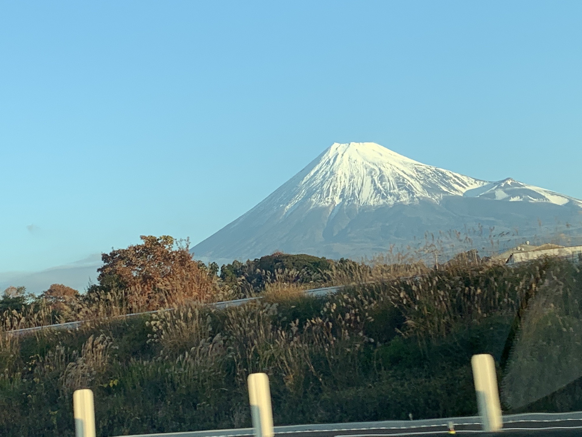 ドッグランsora に行って来ました たかちゃんさんのモーメント Yamap ヤマップ