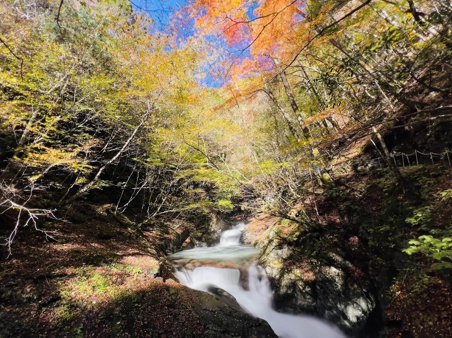 西沢渓谷へ紅葉プチ登山 / ハルセロナさんの甲武信ヶ岳の活動日記 | YAMAP / ヤマップ