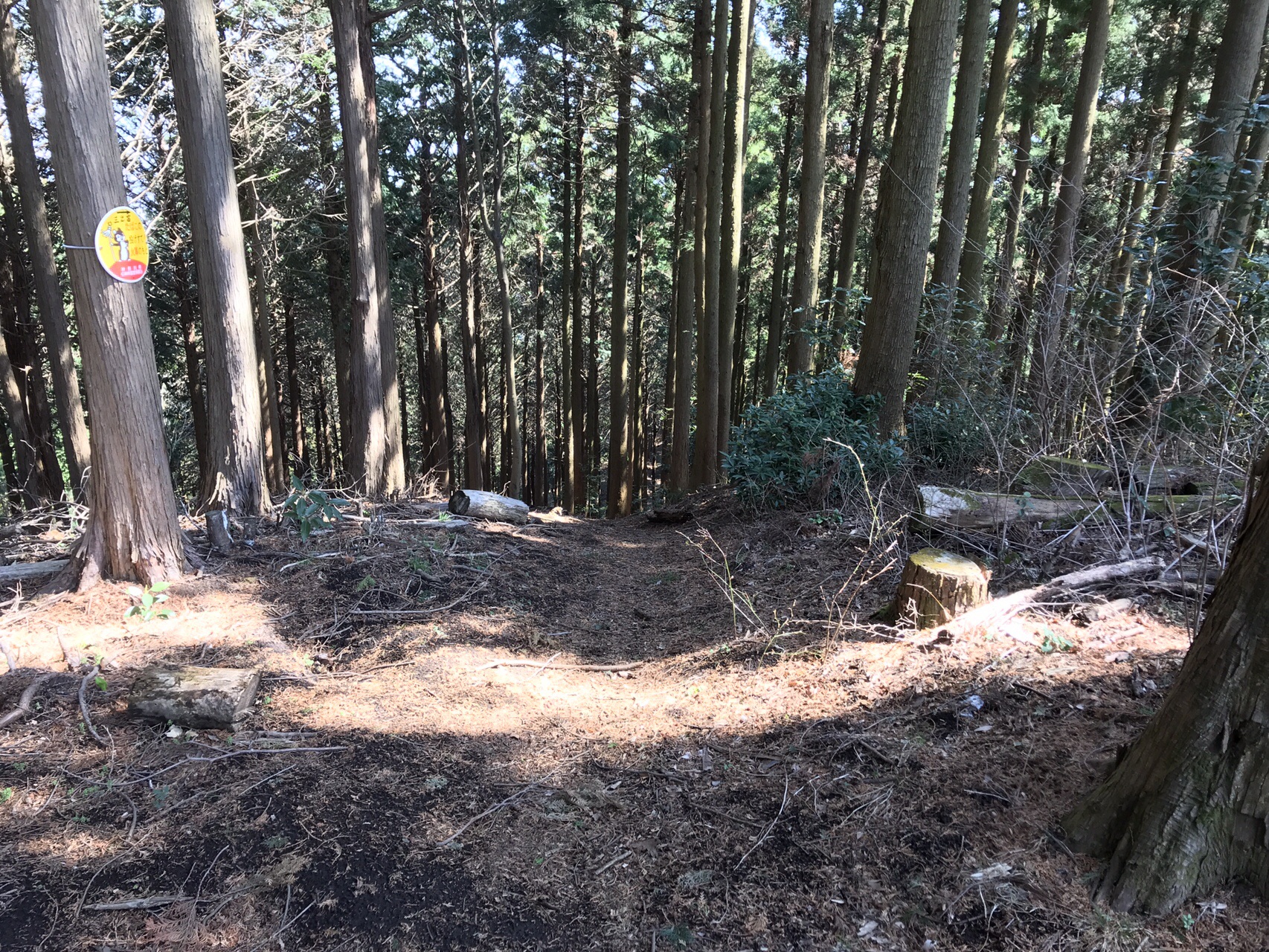 塔の山 聖峰 高取山 なーたんさんの大山の活動日記 Yamap ヤマップ