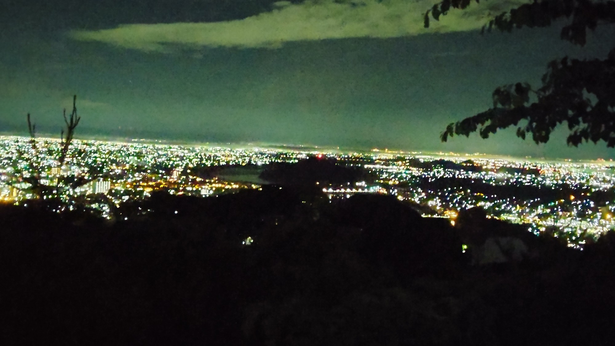 猿犬 Sakanaさんの春日井三山 弥勒山 大谷山 道樹山の活動データ Yamap ヤマップ