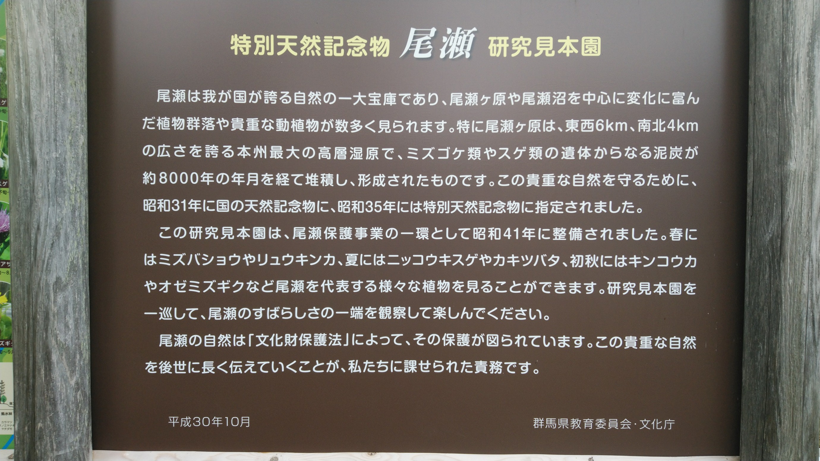 御池より燧ヶ岳 至仏山 そして尾瀬ハイク 風太さんの尾瀬 燧ヶ岳の活動データ Yamap ヤマップ