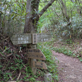 伏見峠到着
