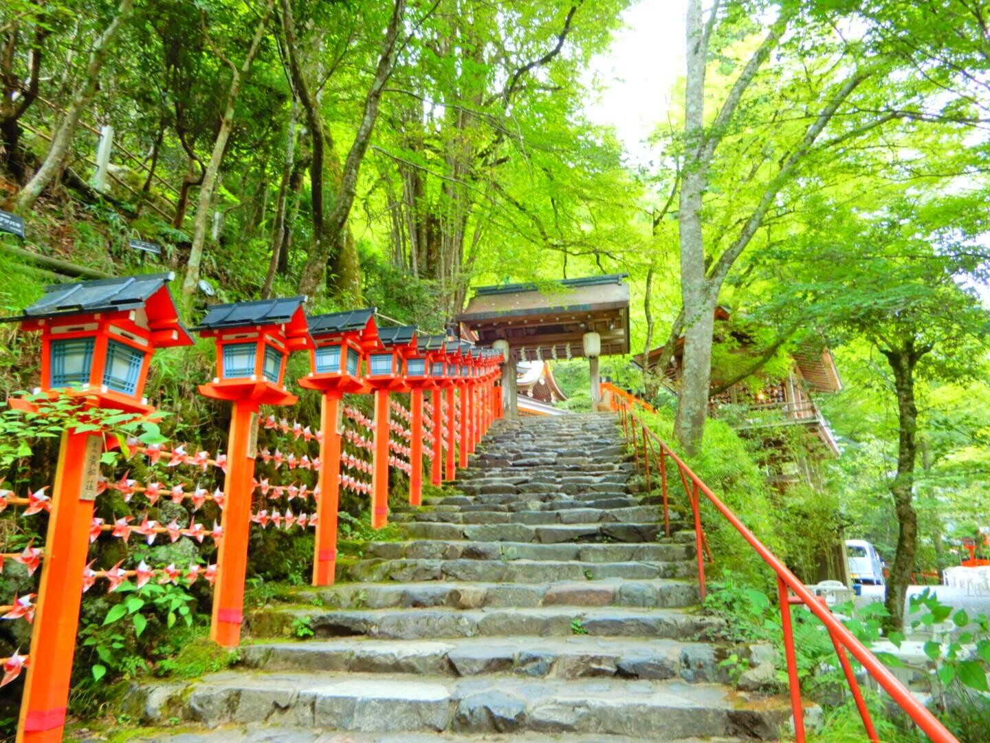 貴船神社〜鞍馬山〜鞍馬寺 / hirariさんの京都一周トレイルの活動データ | YAMAP / ヤマップ