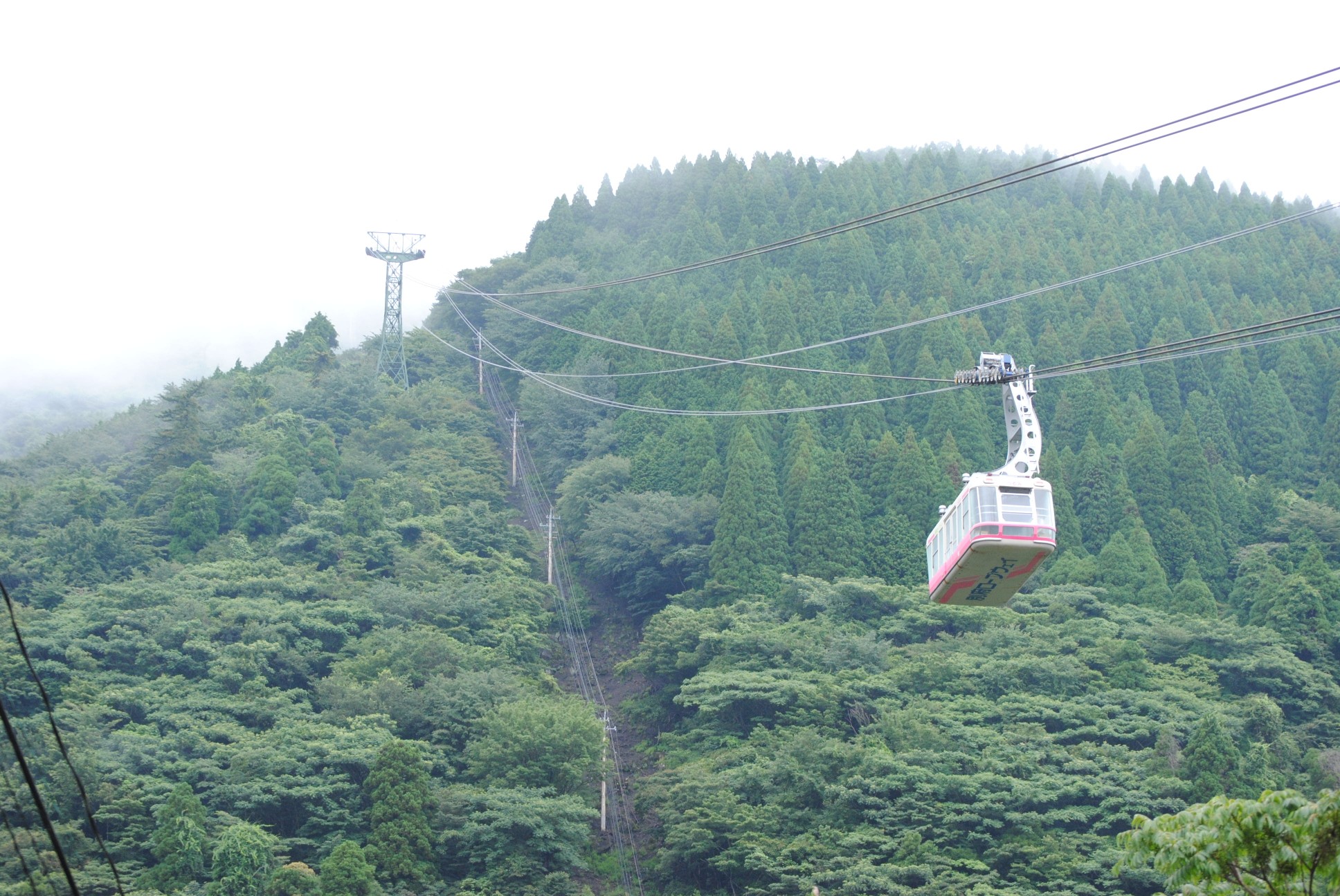 雨の中 別府観光へ ロープウェイで鶴見岳 Mint7332さんの由布岳 鶴見岳の活動日記 Yamap ヤマップ