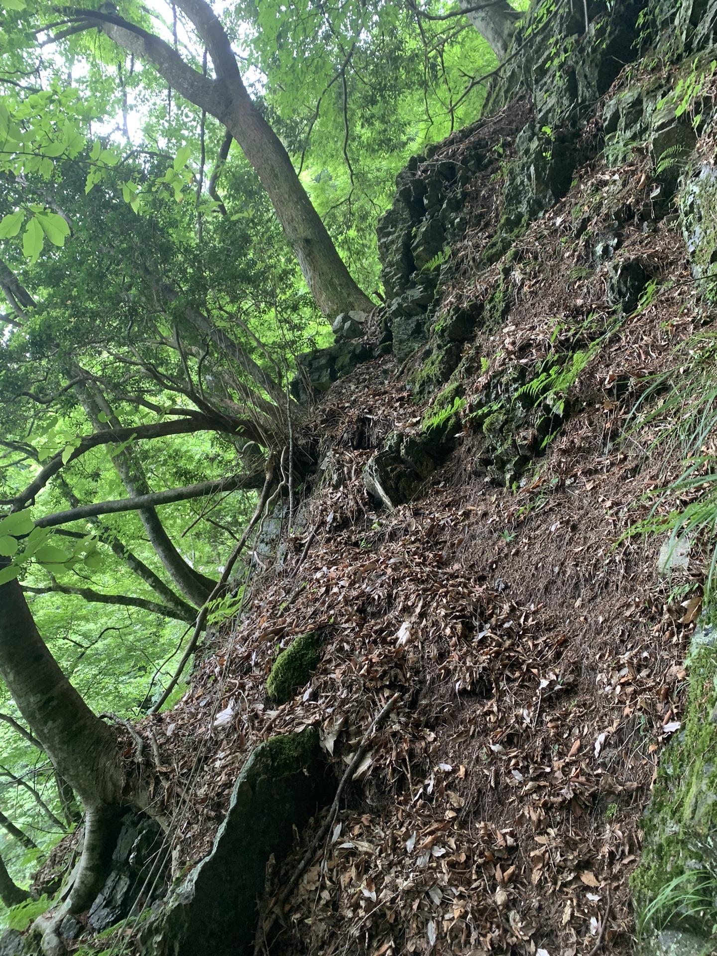 夫婦滝の巻きは大きく巻いた