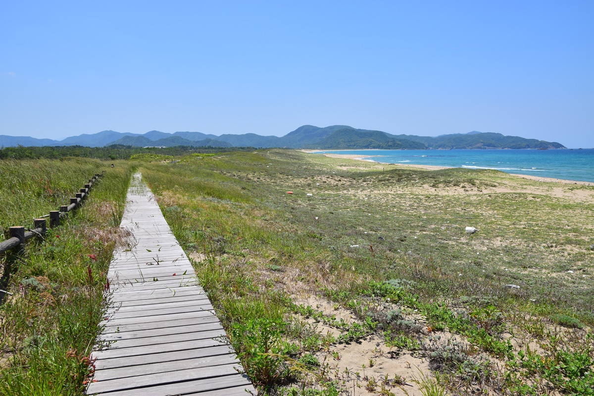 折り返して帰路につきます。