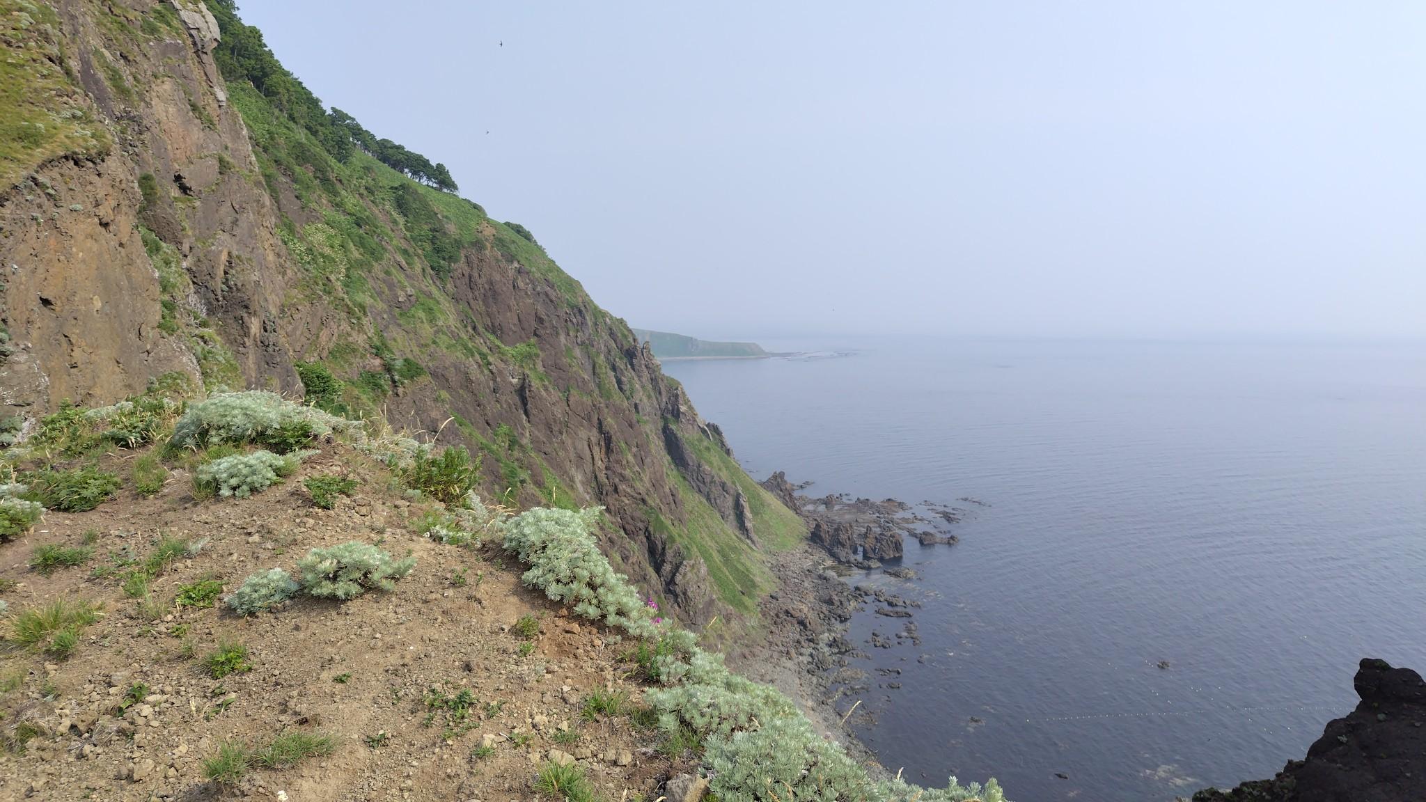 知床岬の大地の一部が見えた！