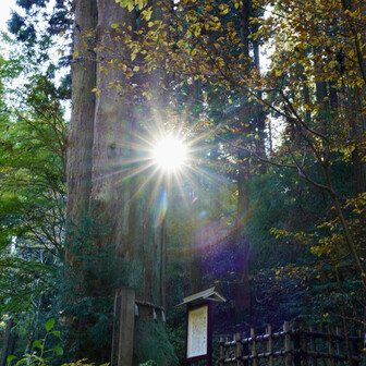 日差しが眩しいですね。
今日は、一日好天になる予報です。
上手く光芒が撮れました。